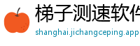 梯子测速软件